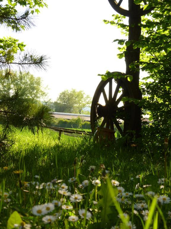Pension Gruenes Herz Tonndorf Экстерьер фото
